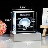 Movdyka 3D Human Brain Anatomy Model Doctor Psychology Graduation Gifts for Him Her, 3D Laser Etched Crystal Cube Brain Figure Paperweight Science Biology Gift with Colorful LED Base