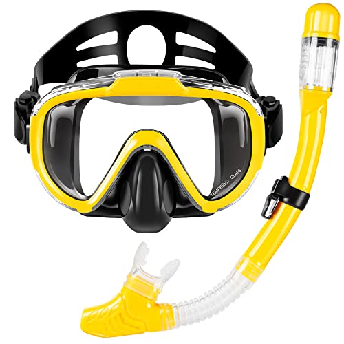 Snorkeling Gear for Adults, Dry Top Snorkel Set with Panoramic Anti-Leak and Anti-Fog Tempered Glass Lens, Adjustable Snorkeling Set for Scuba Diving Swimming Training Snorkel Kit