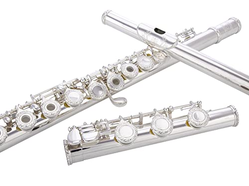 Glory HAND-ENGRAVED SILVER PLATED HIGH GRADE FLUTE 17 Hole OPEN/CLOSED C Flute With Case, Tuning Rod and Cloth and Gloves,HIGH GRADE HAND ENGRAVED