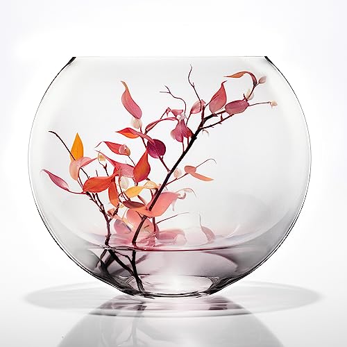 CYS EXCEL Glass Moon Vase Oval Bowl (H:11.75" L:14") | Multiple Size Choices Round Flower Vase Centerpiece | Plant Terrarium Bowl Vase