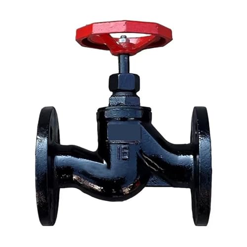 RYRMCVPVCT Stop Valve J41T-16 flanged Globe Valve cast Iron Globe Valve(Dn200 8inch)