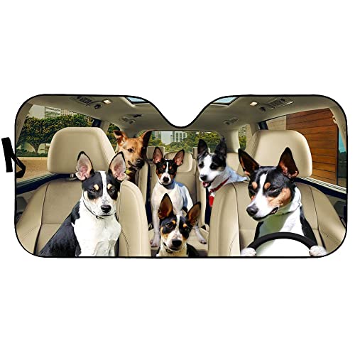 Windshield Sun Shade American Treeing Feist Auto Sun Shield Foldable Keep Your Vehicle Cool and Damage Free Easy to Use for Most Sedans SUV Truck Automotive 51x28in