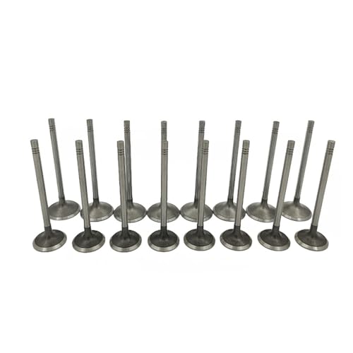 Lskioer Intake Exhaust Valves, 16Pcs Engine Intake & Exhaust Valves Kit Fits For Chevy GM Buick Saturn 2007-2017 2.0L 2.4L