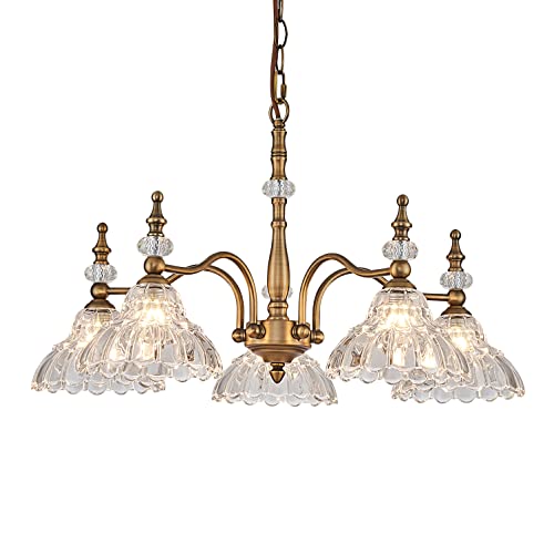 HDDFL Chandeliers Light 5 Lights Chandelier Lamp Modern Pendant Lighting Fixtures Hanging Lamps for Dining Room Entryway Living Room Bedrooms Foyer Entrance Kitchen