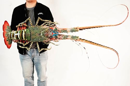 32-inch handmade bamboo lobster model for wall decoration, featuring a colorful design