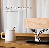 MODIRNATION Bonsai Modern LED Bedside Smart Table Lamp with Built-in TWS Bluetooth Speaker and Qi Wireless Charger for Home and Office, Stepless Dimming with Sleep Mode (Tree of Light)