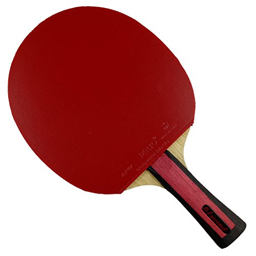 61second 3004 Wooden Table Tennis Blade Shakehand FL with Palio AK47 RED and AK47 Blue Rubbers