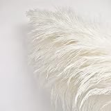 10 Stems 46" inch White Pampas Grass Decor Tall, Large Pompas Grass, Boho Neutral Home Decor Bouquet, Fluffy Pampass Grass for Floor Vase Wedding Floral Arrangements Wall Farmhouse Table Decor