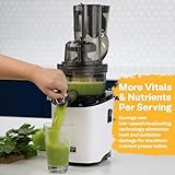 Kuvings Whole Slow Juicer REVO830SWP Cold Press Masticating Juicer Machine - Extra Wide 88mm & 48mm Food Chutes - Quiet Strong Motor Auto-Cut Fruits & Veggies - Smoothie Sorbet Attachment - White