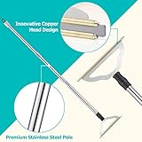 GOSEDER Carpet Rake for Pet Hair Removal - Reusable Pet Hair Remover for Carpet Long Handle, Advanced Dog Hair Broom, Cat Fur Brush, Lint Remover Scraper for Carpets, Rugs, Mats, Couch, Furniture