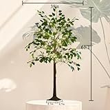 Hairui Artificial Ficus Silk Tree Lights 6FT 264LED Fairy Lights, Faux Plant Tree with Lights for Home Room Spring Summer Decoration Indoor