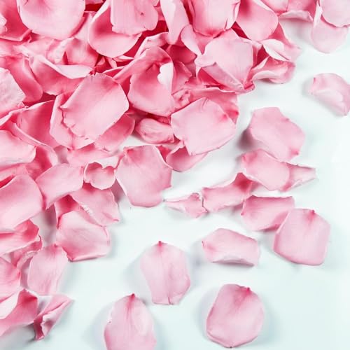 Eslibin180 PCS Real Pink Dried Rose Petals Confetti for Wedding, 1.75oz Freeze Rose Petals for Romantic Pink Wedding Proposal Decor, Flower Girl Dinner Centerpieces BabyShower Party