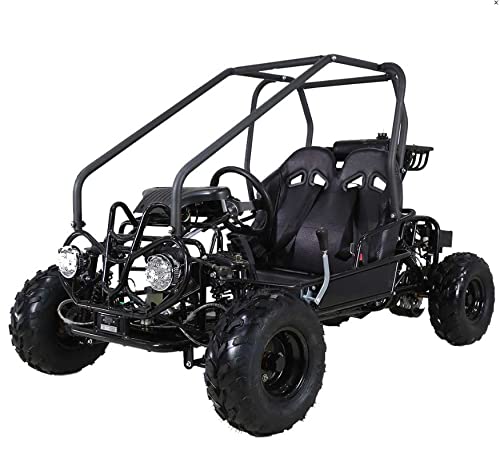 HHH Gokart GK110 Upgraded 125cc Go Kart Gas Fully Automtatic with Reverse Youth Kids 2 Seater 125cc Kart (Black Color)