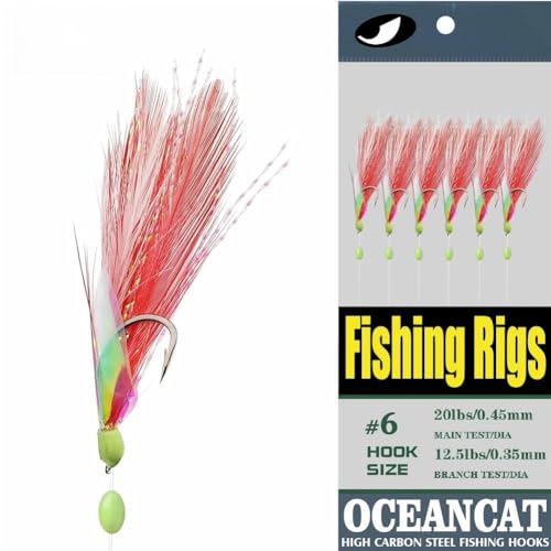 10 Packs 2pcs White & Red Feather & Rainbow Skin 6 Hooks Saltwater String Hook Fishing Luer Bait Rig Tackle (2 Feather&Rainbow Skin, 4#-20 Packs)