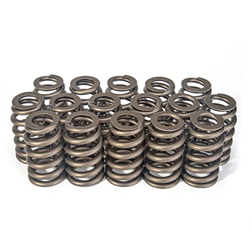 16Pcs LS Valve Springs, Performance Racing Valve Springs Compatible with GMC Chevry LS Engine 4.8 5.3 5.7 6.0 6.2 (. 600'' Maximum Lift)