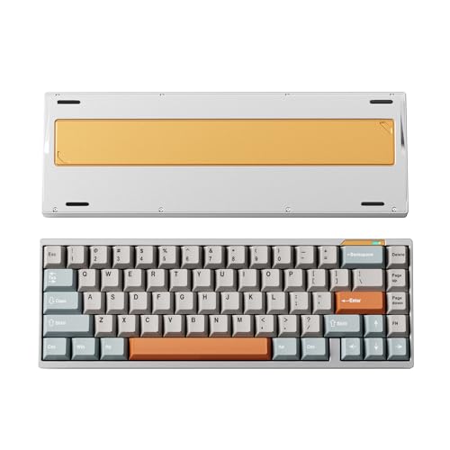 LUMINKEY Luminkey65 Wireless Mechanical Keyboard, Hot Swappable Wired/Bluetooth/2.4G Wireless Keyboard for Windows & Mac, 67 Pieces PBT Keycaps,Silver Aluminum Case