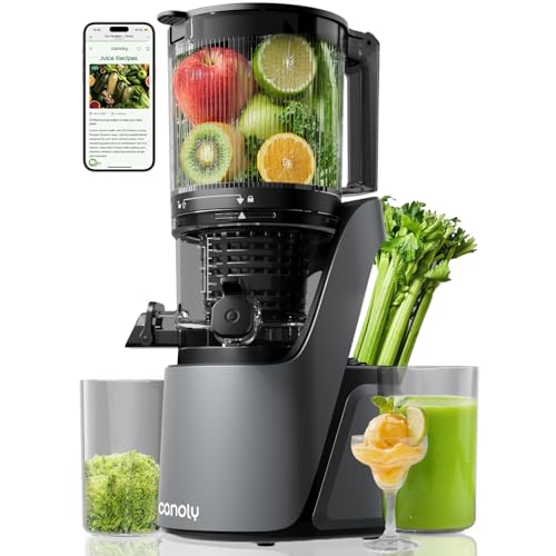 Canoly C16 Cold Press Juicer, 6" Extra Wide Feed Chute with Dual Strainers (Juice & Sorbet), Powerful AC Brushless Motor, Self Precut System, Juicer Machines with BPA Free (Space Gray)