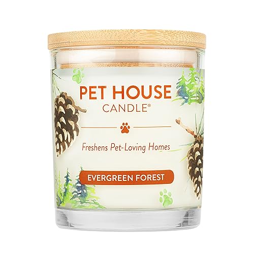 One Fur All Pet Candle Plant-Based, Clean Burning Forest Scented Candle for Pet Odor - Evergreen Forest