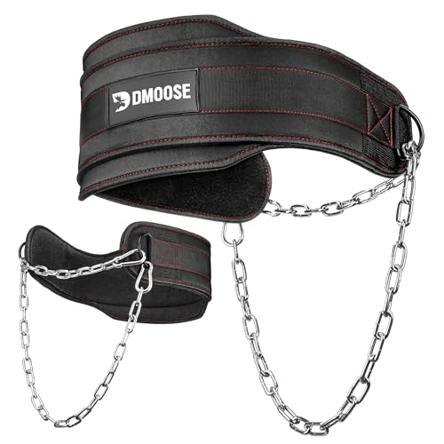 DMoose Fitness Dip Belt For Weightlifting - Weighted Pull Up and Squat Belt with Chain for Intense Workouts - Heavy Duty Stainless Steel Chain & Coated D-Ring - Weight Dipping Belt for Pullups & Dips