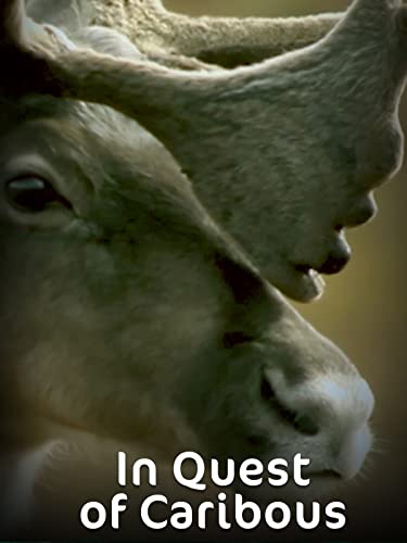 In Quest of Caribous