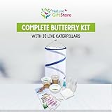 Nature Gifts Live Butterfly Kit - School-Sized Educational Experience with 32 Painted Lady Caterpillars - Pop-Up Cage, and Comprehensive Rearing Supplies for Classroom Engagement