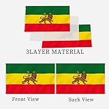 Ethiopia Flag with Lion Flag 3x5 Double Sided Lion of Judah Flags Outdoor Heavy Duty National Flags 3 Ply Polyester Material with 2 Metal Grommets 4 Rows of Stitching