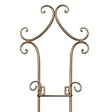 Touch of Class Regalla Petite Plate Rack - Vertical Plate Display - Hanging Plate Rack - For 6-8" dia. Plates - Satin Gold Finish - Four-plate is 38 inches - Hardware Included