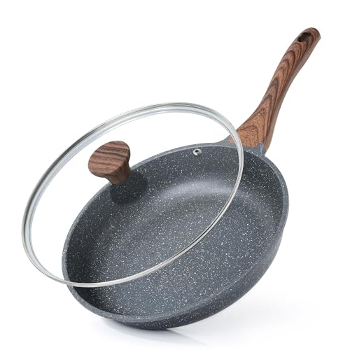SENSARTE Nonstick Frying Pan Skillet with Lid, Omelet Pan with Cover, Healthy Cooking Chef's Pan, Kitchen Non Stick Pan, Free of Intentionally Added PFOA (11inch + Glass Lid)