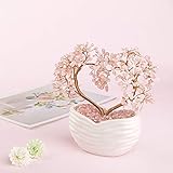 Jovivi Rose Quartz Crystal Heart Money Tree Healing Gemstone Bonsai Tree for Wedding Ceremony Reiki Balancing Energy Meditation Feng Shui Wealth & Good Luck Home Indoor Office Decor 7.87"-8.26"