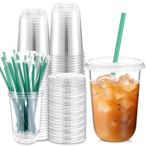 Baderke 25 Set Plastic Cups with Lids and Straws, Disposable Plastic Iced Coffee Cup for Cold Beverage Juice Smoothie Crystal for Coffee Shops Party Catering(Clear,16 oz)