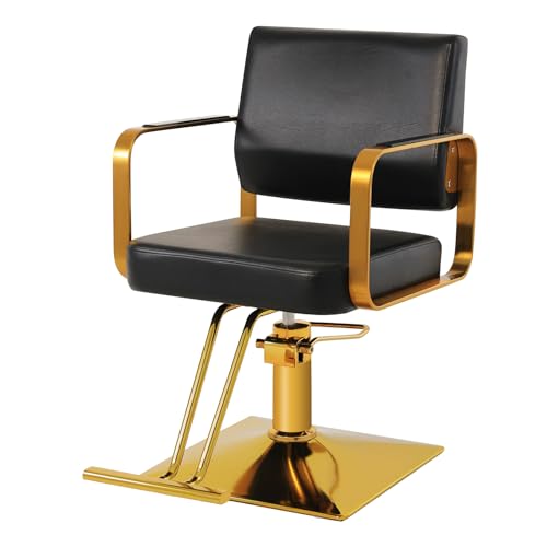 WINEDYOUNG Salon Chairs for Hair Stylist Chair Hydraulic Pump Hair Salon Chair 360 Degree Rotating Barber Chair, Spa Beauty Equipment for Hair Stylists, Tattoo Artists, Cosmetologists (Not Tilting)