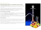 Tanya Hookah Shisha Flavors, 100% Nicotine And Tobacco Free, Fruit Variety Pack 50 Grams Hookah Shisha Flavor (10 Pack)