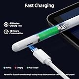 Stylus Pen for iPad 9th&10th Generation-2X Fast Charge Active Pencil Compatible with 2018-2024 Apple iPad Pro 11"/12.9"/M4, iPad Air 3/4/5/M2, iPad 6-10, iPad Mini 5/6 Gen-White