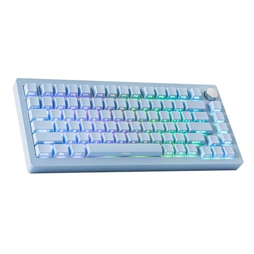 EPOMAKER Tide75 QMK/VIA Wireless Gaming Keyboard, 75% Aluminum Mechanical Keyboard, Programmable Creamy Keyboard, Bluetooth/2.4Ghz/USB-C, with FR4 Plate for Win/Mac (Blue, Lemon Switch)