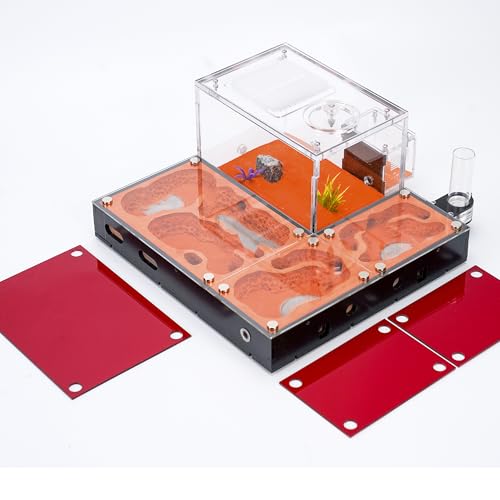 Rimsunta Ecological Ant Nest - Modular Ant Farm with Magnetic Glass Covers, Humidity Control, Ventilation, and Expansion Ports - Perfect for Ant Enthusiasts (10.63 x 9.84 x 5.12 inches)