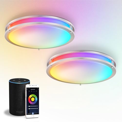 ASD LED 18 Inch Round Flush Mount Light Fixture | 28W 1850LM RGB-2700K-6500K 120V | Smart, Multicolor, Dimmable, ETL Listed | Close to Ceiling Double Ring Lamp, Low Profile Lighting | Nickel, 2 Pack
