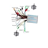 Huayong 1000W 3000W Dual Drive Motor Controller Double Two 2 pcs brushless speed driver for E Bike Scooter 36V 48V 60V 72V(100 36V 48V)