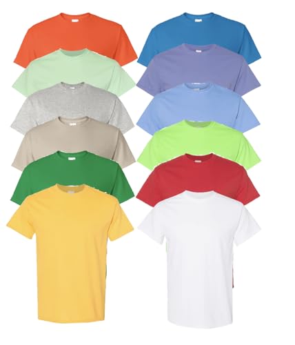 EVERYDAY TEES 12 Pack Mens Cotton Crew Neck Regular T-Shirts Bulk Short Sleeve Lightweight Tees Mix Colors (US, Alpha, X-Large, Regular, Regular, Bright Assortment)