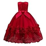 Girl Vintage Sleeveless Embroidery Princess Dress 3D Flower Girls Lace Bridesmaid Long Dress Wedding Pageant Formal Party Maxi Gown Kids Prom Communion Puffy Tulle Ball Gowns Red-Bowknot 11-12 Years