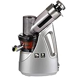 HIONJIN Exprimidor Lenta Hogar Jugo De Gran Calibre, Jugo De Tofu Leche De Soja Máquina De Extractor De Jugo