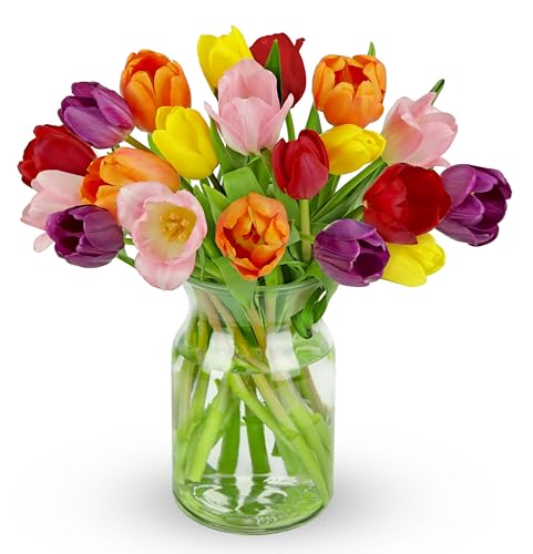 Benchmark Bouquets 20 Stem Rainbow Tulips, Glass Vase Included, Gift Fresh Flowers for Valentine’s Day, Birthday, Anniversary, Get Well, Sympathy, Congratulations, Thank You, Just Because