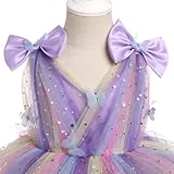 IMEKIS First Birthday Outfit Girl: Butterfly Dress for Toddler 2nd 3rd 4th 5th Birthday Cake Smash Photoshoot Kids Princess Formal Spring Baby Tulle Party Wedding Gowns Rainbow Lilac 12-18 Months