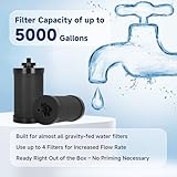 2387 Pro Filter Replacement NSF/ANSI 42 Certified for Alexapure 2387 Pro Filter Replacement, 5,000 Gallon Throughput Capacity Compatible with Alexapure Water Filtration System - Filter 4 Pack Black