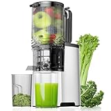 Cold Press Juicer, 5.8" Wide Feed Chute Juice Extractor Machine with 400W, High Juice Yield, Slow Masticating Juicer for Whole Vegetables & Fruits, Metallic Silver