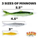 Banjo Minnow Silver Minnows + Lifelike Lure for All Fish + Durable Material That Catches Fish + Freshwater & Saltwater Fishing Lure + Hooks & Anchors