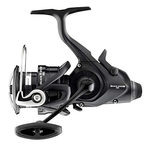 Daiwa 19 Black Widow BR LT 5000-C