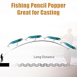 Catfish Rattling Line Float Lure Catfish Rig Float Popper Lure Demon Dragon Style Peg Lure for Santee Rig Fishing Rattle Bait for Lake River Bank (10pcs Catfish Float Lures)