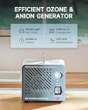 CREWORKS Ozone Negative Ion Generator, 2-in-1 Odor Eliminator Air Purifier for Car Home Smoke Pet Odor Removal, Commercial Ozone Machine Ionizer with Timer for 3200 sq ft Room 30000 mg/h