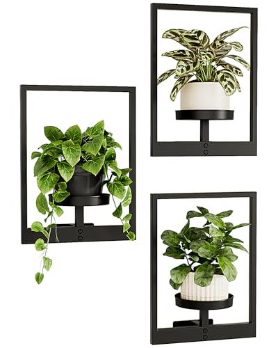 Bamworld Wall Planters for Indoor Plants Hanging Planter for Indoor Plants Plant Stand Indoor Wall Decor Hanger Window Plant Shelves 3 Pack for Living Room Outdoor Entryway