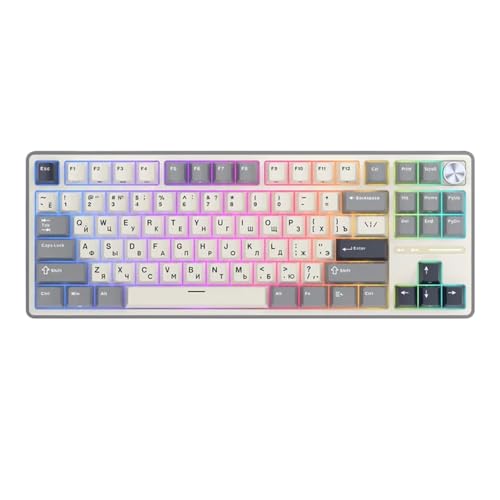 Gamer Keyboard 88 Wired Hot-swappable Mechanical Keyboard with RGB Backlit PBT Keycaps Compatible with RK R87Pro(Russian Half Grey)